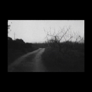 24 PRELUDIOS/DIARI MALLORQUÍ